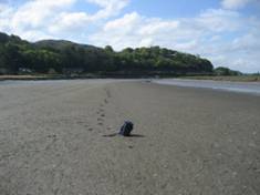 Dyfi_LowTide.JPG
