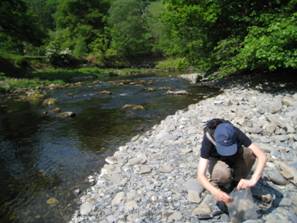 Higher_Dyfi_GravelBar.JPG